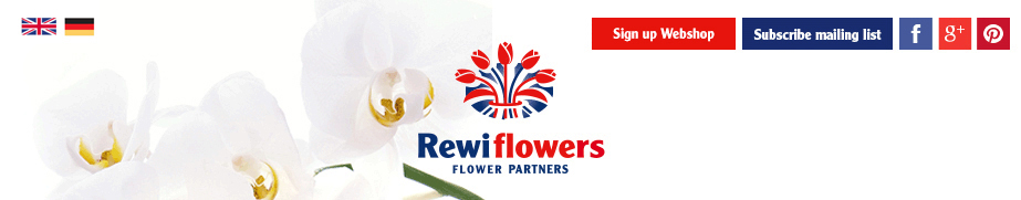 Rewiflowers